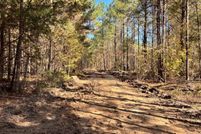 Land for sale in Noxubee County, Mississippi