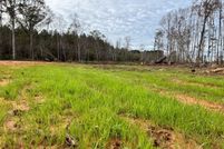 Undeveloped Land for sale in Leake County, Mississippi