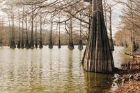 Land for sale in Tallahatchie County, Mississippi