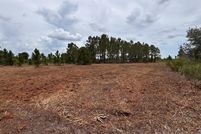 Land for sale in Okeechobee County, Florida