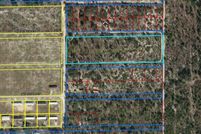 Land for sale in Levy County, Florida