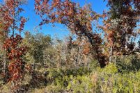 Land for sale in Taylor County, Florida