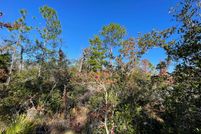 Land for sale in Taylor County, Florida