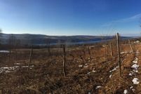 Land for sale in Steuben County, New York