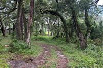 Land for sale in Alachua County, Florida