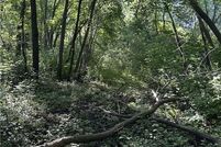 Land for sale in Wright County, Minnesota