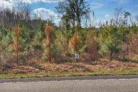 Land for sale in Dillon County, South Carolina