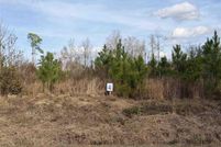 Undeveloped Land for sale in Dillon County, South Carolina