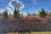 Land for sale in Dillon County, South Carolina