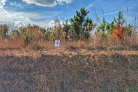 Land for sale in Dillon County, South Carolina