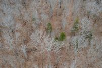 Land for sale in Hickory County, Missouri