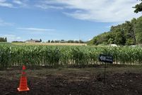 Undeveloped Land for sale in Boone County, Missouri