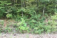 Undeveloped Land for sale in Taney County, Missouri