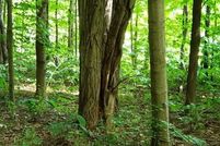 Land for sale in Porter County, Indiana