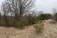 Land for sale in Webster County, Missouri