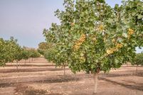 Land for sale in Fresno County, California