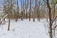 Undeveloped Land for sale in Cook County, Illinois