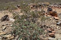 Homesite for sale in Mohave County, Arizona