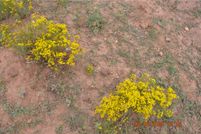 Land for sale in Mohave County, Arizona