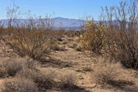 Farm and Ranch for sale in Mohave County, Arizona