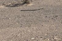 Land for sale in Mohave County, Arizona