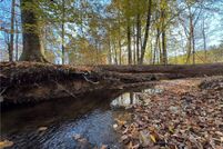 Undeveloped Land for sale in Tallapoosa County, Alabama