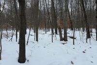 Land for sale in Mecosta County, Michigan