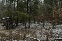 Land for sale in Wolfe County, Kentucky