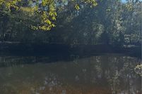 Land for sale in Tattnall County, Georgia