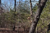 Homesite for sale in Sharp County, Arkansas