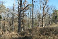 Undeveloped Land for sale in Benton County, Arkansas