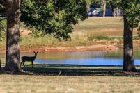 Homesite for sale in Gillespie County, Texas