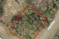 Undeveloped Land for sale in Marion County, Florida