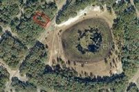 Undeveloped Land for sale in Marion County, Florida