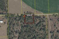 Undeveloped Land for sale in Suwannee County, Florida