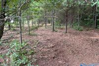 Land for sale in Morgan County, Alabama