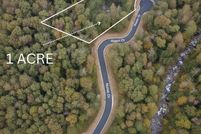 Undeveloped Land for sale in Gilmer County, Georgia