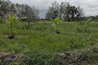 Land for sale in Okeechobee County, Florida