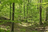 Land for sale in Anne Arundel County, Maryland