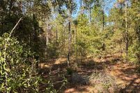 Land for sale in Gilchrist County, Florida