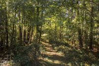 Land for sale in Alachua County, Florida