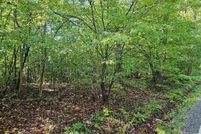 Homesite for sale in Charlotte County, Virginia