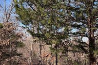 Undeveloped Land for sale in Fulton County, Arkansas