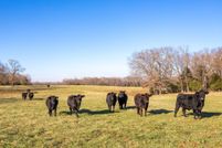 Land for sale in Carroll County, Arkansas