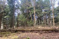 Land for sale in Otsego County, New York
