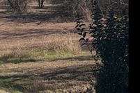 Land for sale in Wise County, Texas