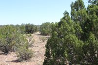 Homesite for sale in Navajo County, Arizona