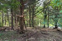 Land for sale in Henderson County, Texas