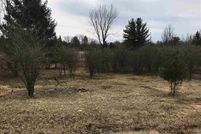 Homesite for sale in Gladwin County, Michigan