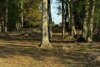 Land for sale in Iberia Parish, Louisiana